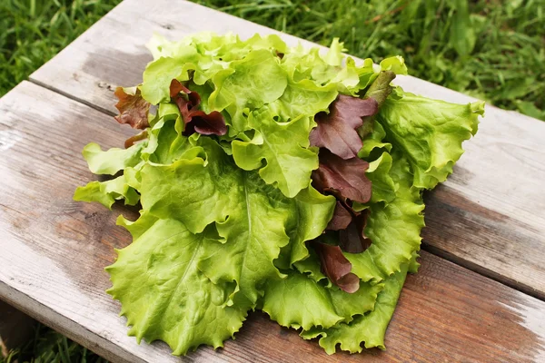 Fresh lettuce in the conventional wooden boards — Stock Photo, Image