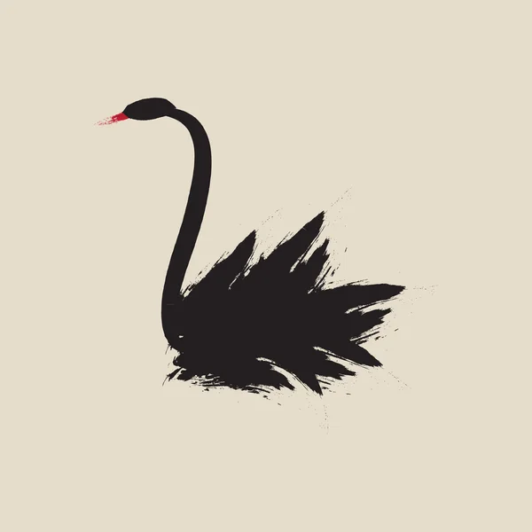 Siyah kuğu kuşu. El çizimi vektör kuğu çizimi.