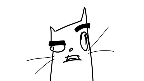 Talking cat with thick eyebrows. Cartoon animation. — Stock Video
