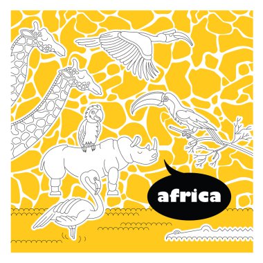 Afrika hayvanları 5