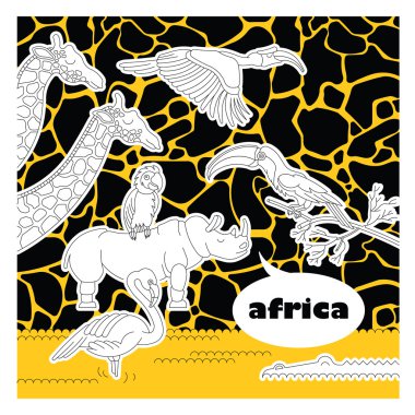 Afrika hayvanları 6