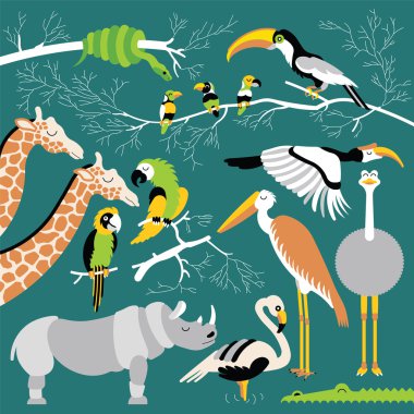 Afrika hayvanları sim 6