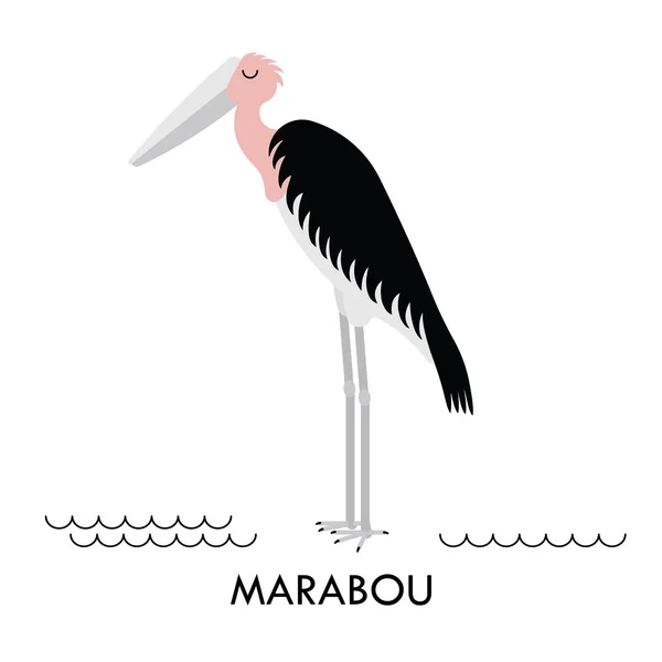 マラブーアフリカの鳥 1 — ストックベクタ