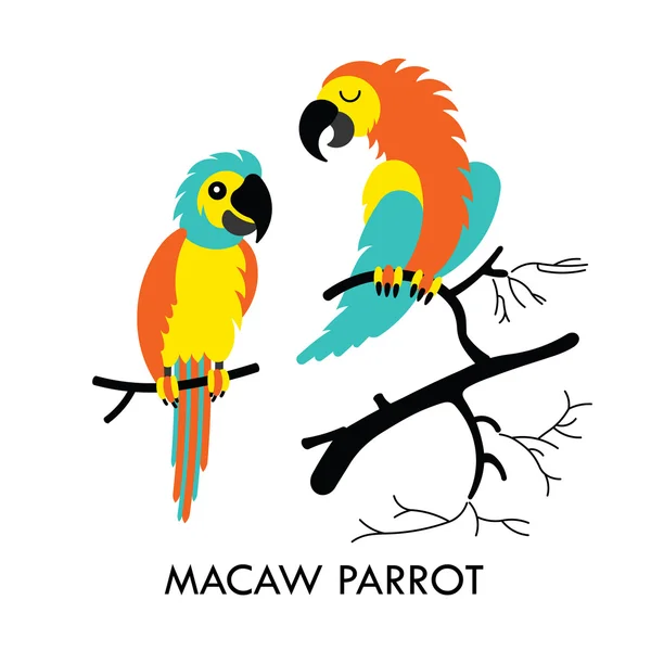 Parrot african birds 1 — Stock Vector