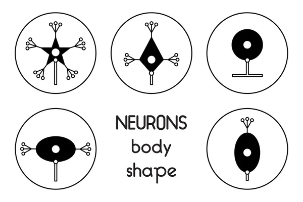 Badan sel neuron - Stok Vektor