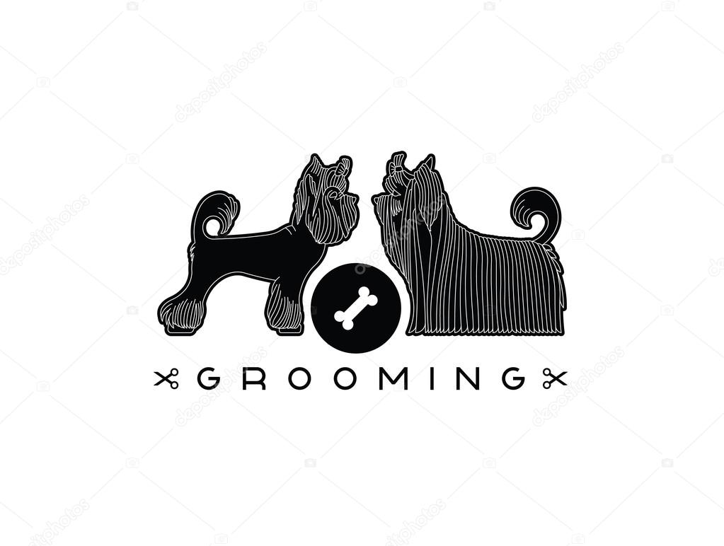 Pet grooming 5