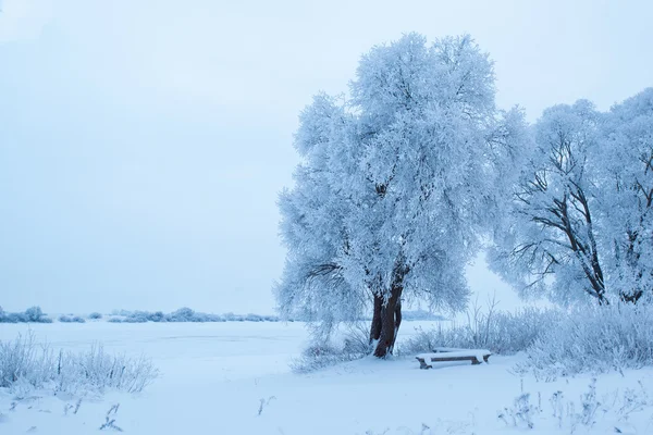 Yuriev kloster — Stockfoto