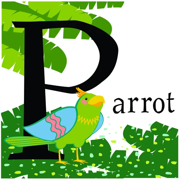 Bir papağan ile renkli vektör resim