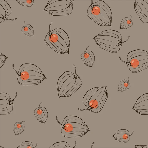 meyve Physalis desenle