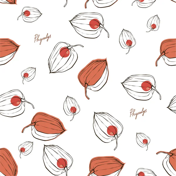 meyve Physalis desenle