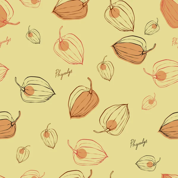  meyve Physalis desenle