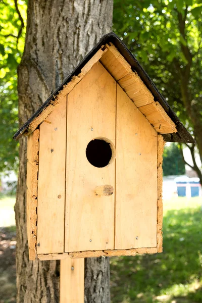 Casa para pájaros en un árbol — Foto de Stock