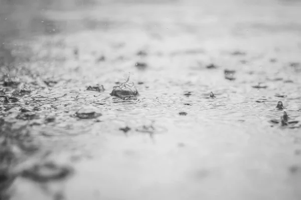 水たまりに雨の水しぶき — ストック写真