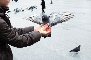 Güvercin kanatlı ellerinde