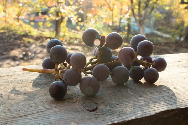 Deliziosa uva su vecchia tavola — Foto Stock