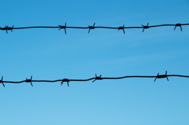 Dikenli teller gökyüzüne karşı