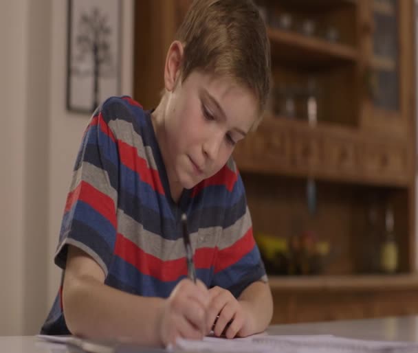 Lächelnder kleiner Junge macht seine Hausaufgaben — Stockvideo