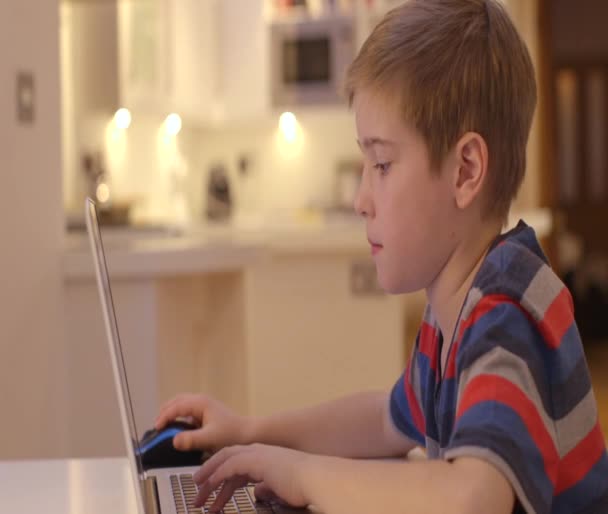 Niño trabaja en su ordenador portátil en casa — Vídeos de Stock