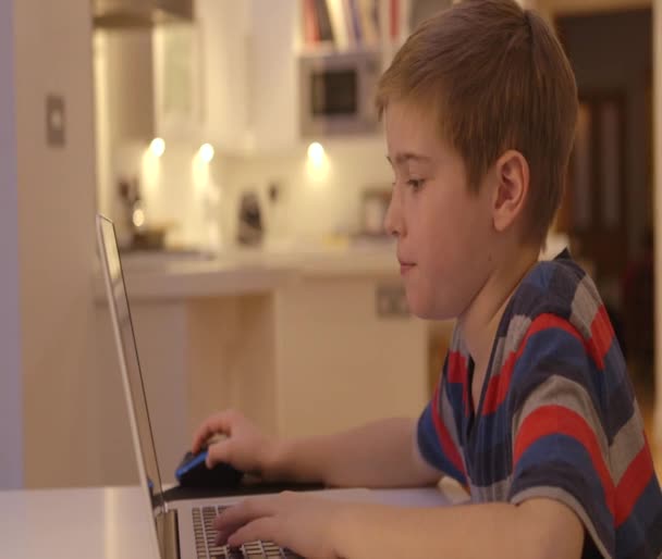 Young boy works on his laptop at home — Stock Video
