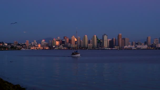 San Diego Bay z centrum panoramę i łodzi na pierwszym planie — Wideo stockowe