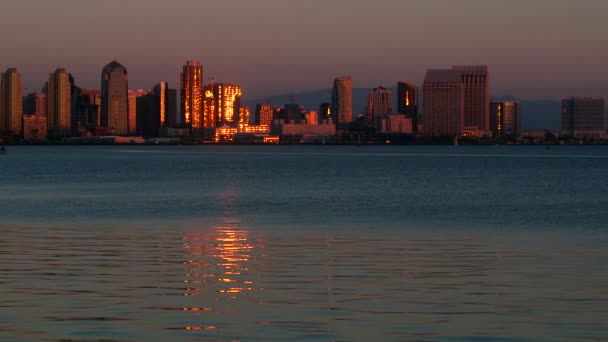 Bahía de San Diego con horizonte céntrico y barcos navegando en primer plano — Vídeo de stock