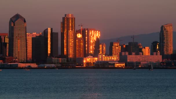 San Diego Bay z centrum panoramę i łodzi na pierwszym planie — Wideo stockowe