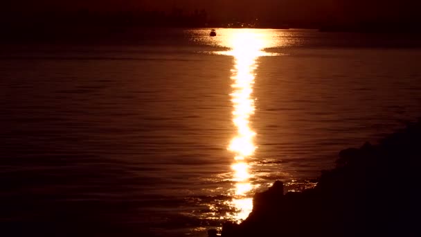 Ηλιοβασίλεμα αντανακλάται στο νερό με silhouetted γιοτ να πλέουν μέσα από τη θάλασσα — Αρχείο Βίντεο