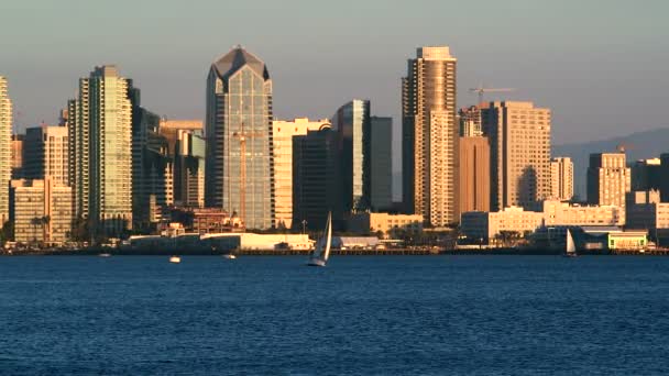 San Diego Bay z centrum panoramę i łodzi na pierwszym planie — Wideo stockowe