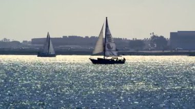San Diego Harbor beyaz yelkenli yelken yat