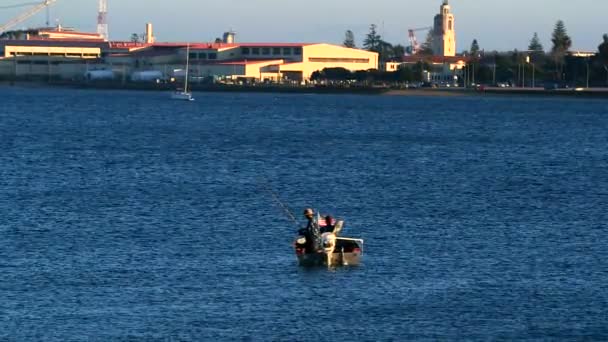 Csónak, Marina San Diego, California — Stock videók