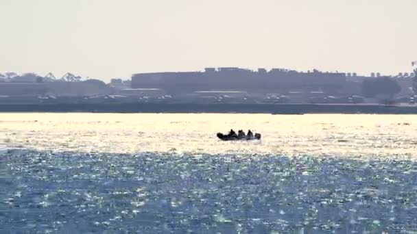 Um barco de velocidade navegando pela baía de San Diego — Vídeo de Stock