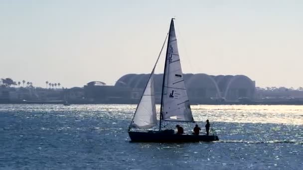Яхта с белыми парусами в гавани Сан-Диего — стоковое видео