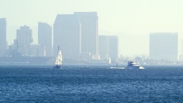 Yacht sailing with white sails with San Diego skyline in the background — Stock Video