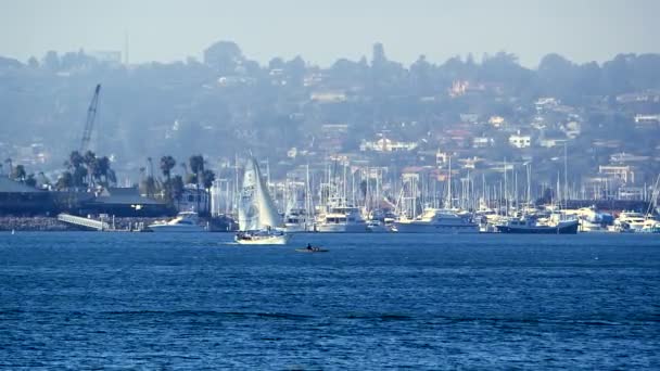 Γιοτ να πλέουν με τα λευκά πανιά σε San Diego λιμάνι — Αρχείο Βίντεο