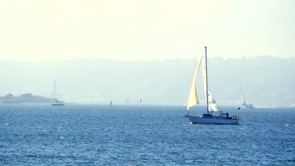 Yacht sailing with white sails into San Diego Harbor — Stock Video