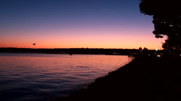 在距离飞行的海鸥宁静海滩上空的清晨日出 — 图库视频影像