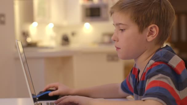 Young boy works on his laptop at home — Stock Video