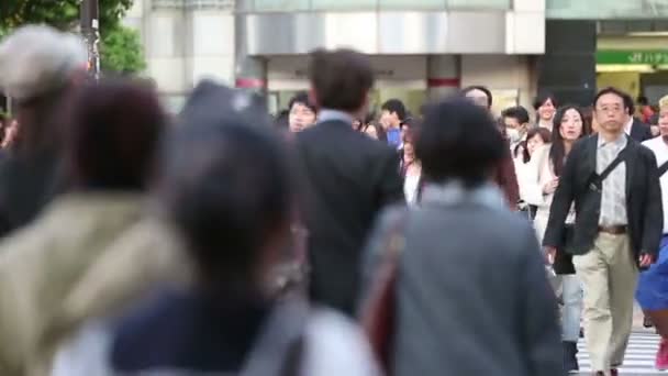 TOKYO, JAPAN - CIRCA 2013: Large crowds of pedestrians, commuters, and shoppers — Stock Video