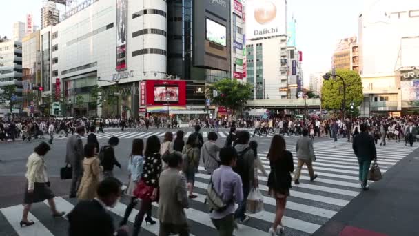 TOKYO, JAPAN - CIRCA 2013: Large crowds of pedestrians, commuters, and shoppers — Stock Video