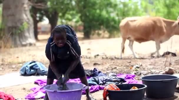 GAMBIA, 08 DE MARÇO DE 2012: Jovem mulher lava panos à mão na África — Vídeo de Stock