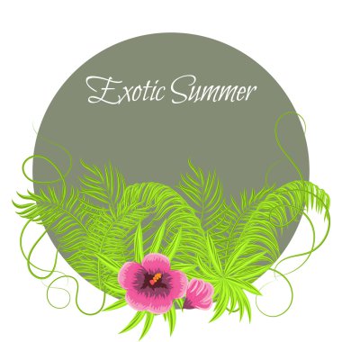 Yuvarlak çerçevede Yaz Tropikal Bitkiler ve Hibiscus Çiçekler.
