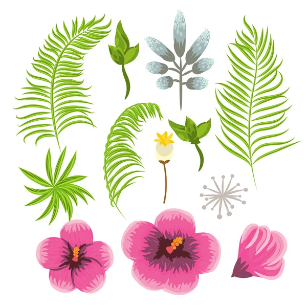 Zestaw egzotycznych kwiatów tropikalnych i liści palmowych. — Wektor stockowy