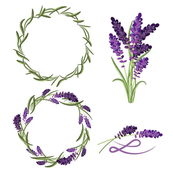 Provence lavendel bloem boeket set. — Stockvector