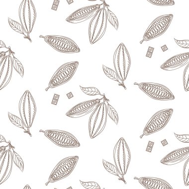 Kakao çekirdeği anahat seamless modeli. Çikolata tek renkli arka plan.