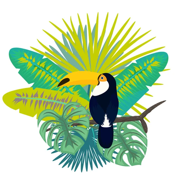 Illustration vectorielle oiseau Toucan pour la conception de vêtements de tshirt . — Image vectorielle