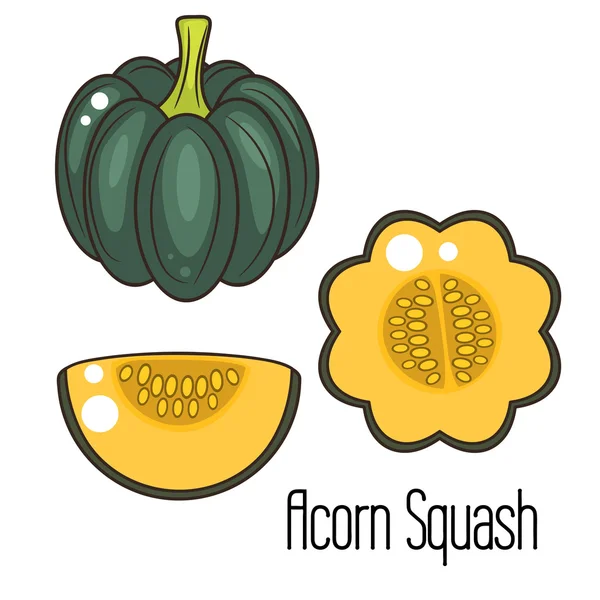Acorn squash karikatúra vektor illusztráció. — Stock Vector
