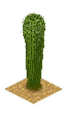 İzole vektör kaktüs dikenli ile