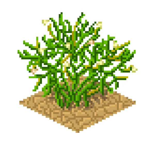Planta Peganum harmala em estilo pixel art — Vetor de Stock