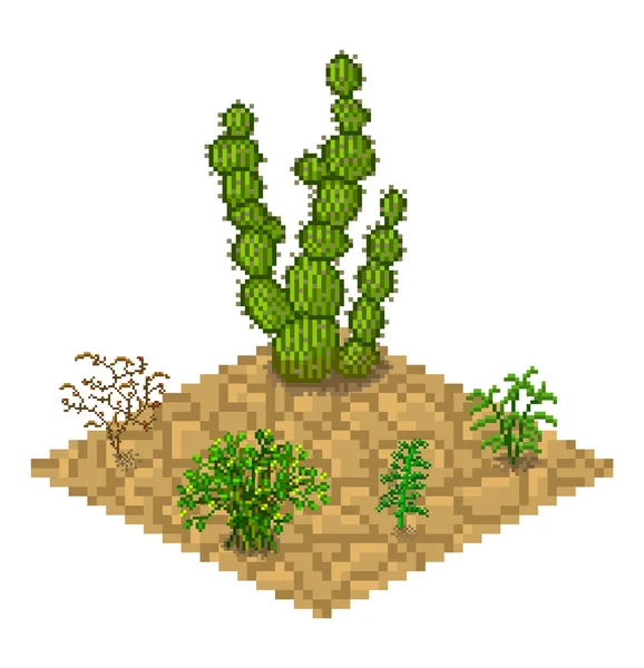 Zbiór wektor na białym tle kaktusów — Wektor stockowy