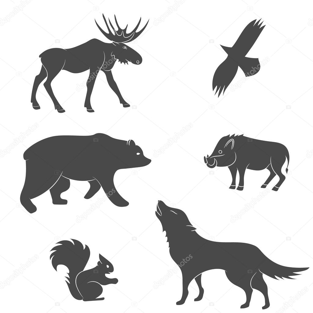 Set of forest animals vector